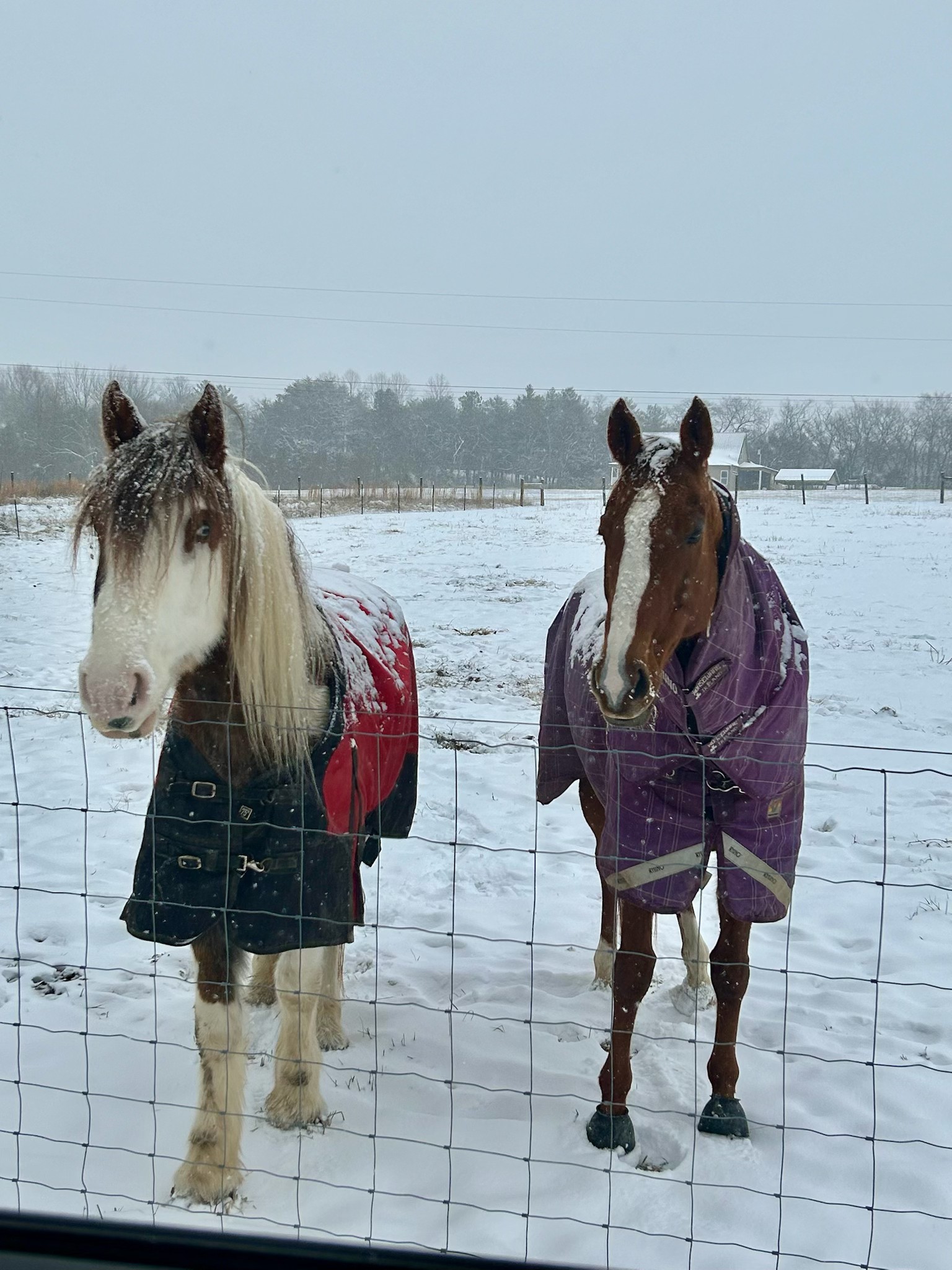 1387 Floyd Road Eagleville, TN 37060 - Photo 98 of 100 a view of balcony with furniture