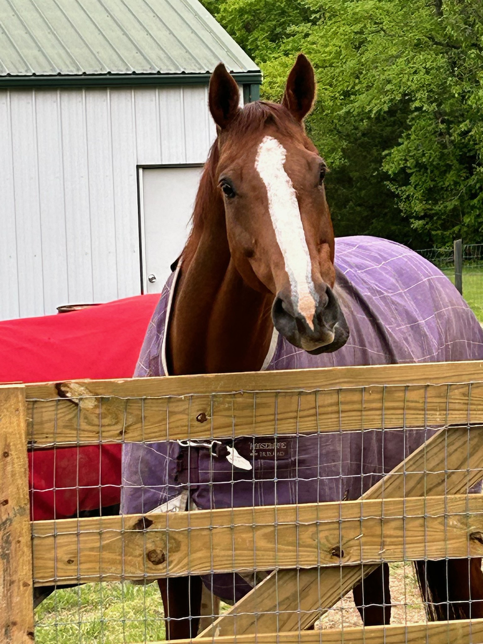 1387 Floyd Road Eagleville, TN 37060 - Photo 99 of 100