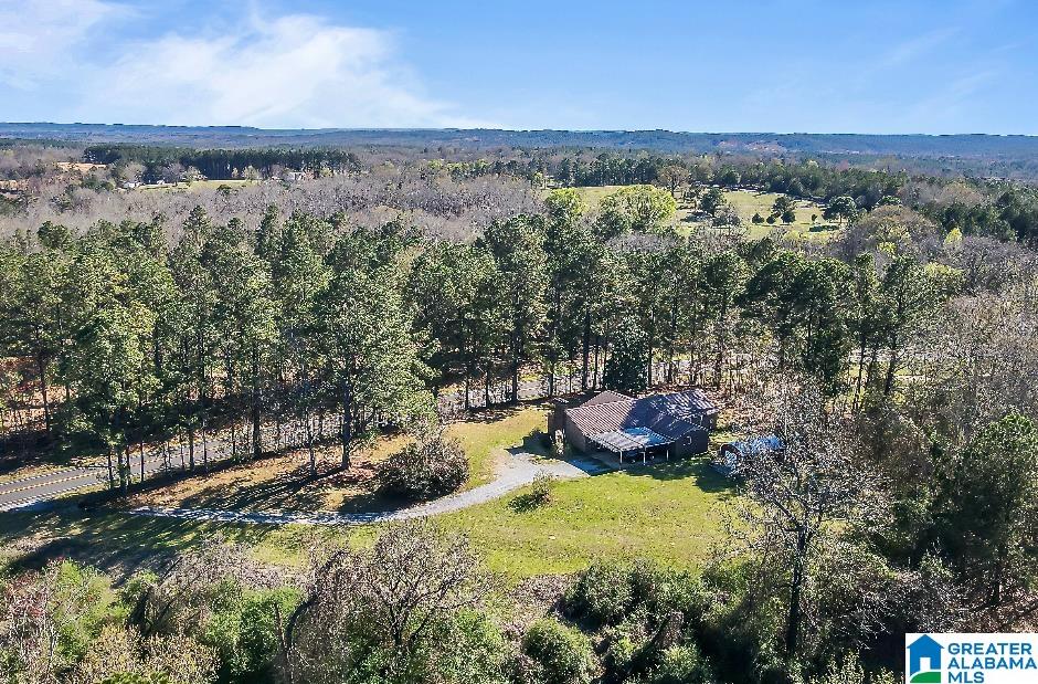 3564 Payne Lk Road Brent, AL 35034 - Photo 36 of 38