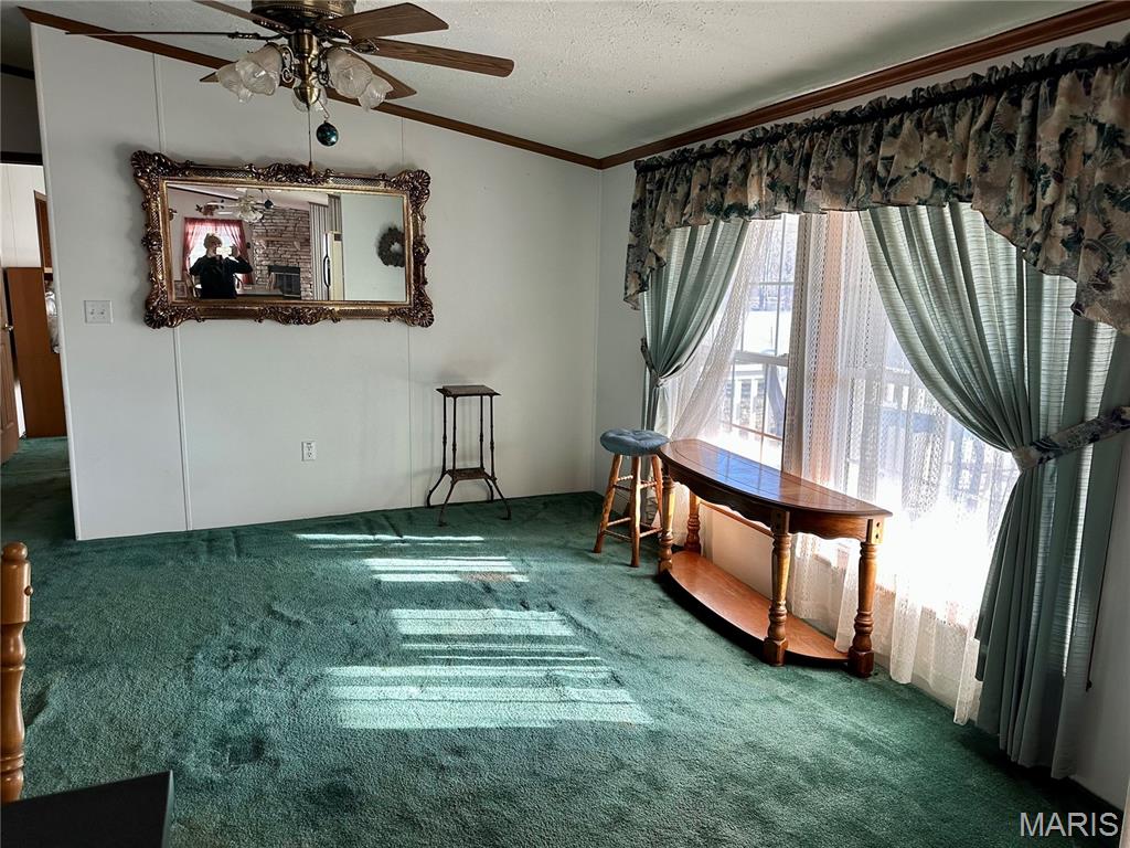 20754 Emerald Road Carlyle, IL 62231 - Photo 20 of 31