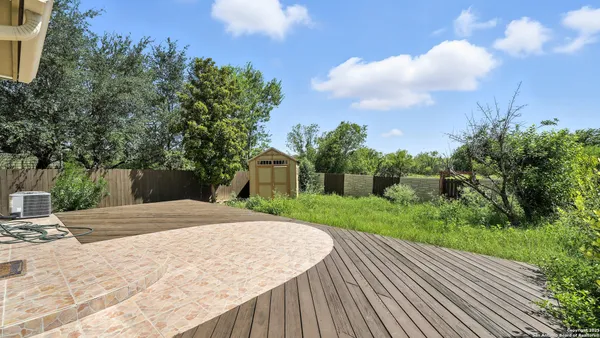 a view of a backyard with plants and a large tree