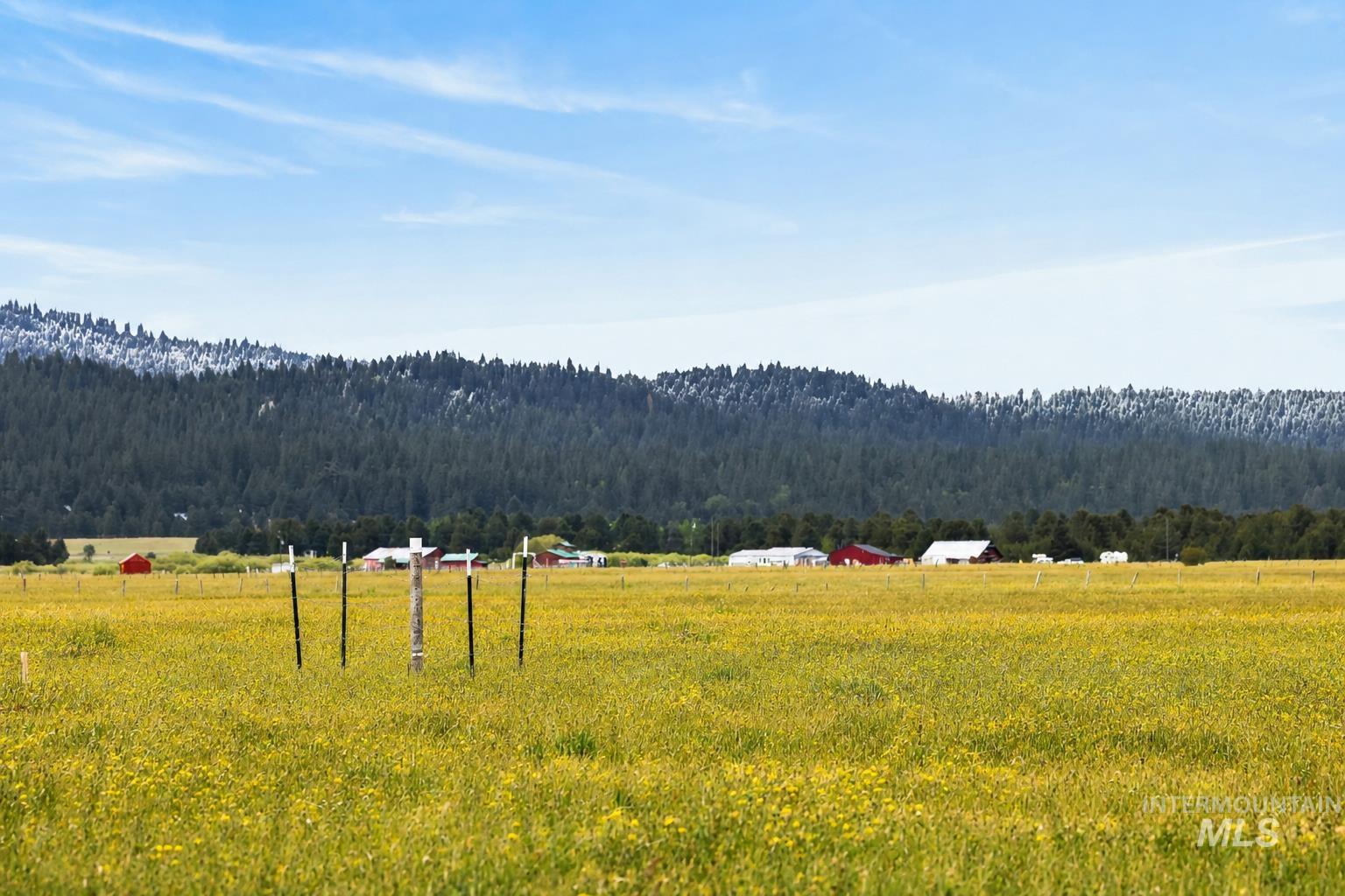 17 Gray Lane Cascade, ID 83611 - Photo 7 of 18