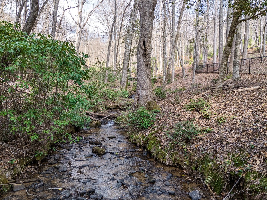1220 Burger Road Murphy, NC 28906 - Photo 91 of 96 Gallery Image 91
