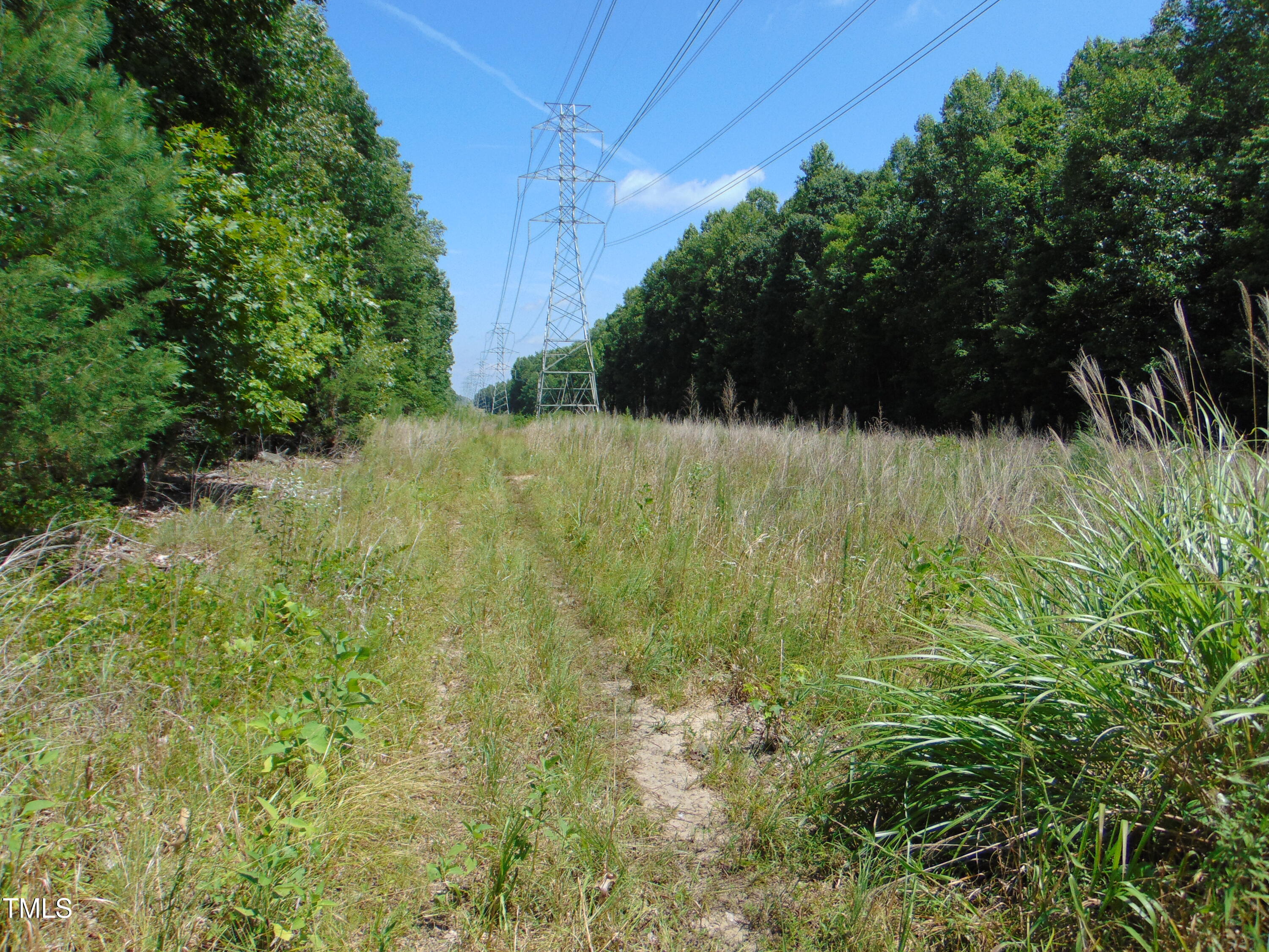 Lot 2 Hesters Store Road Roxboro, NC 27574 - Photo 11 of 11 Copy of DSC00768