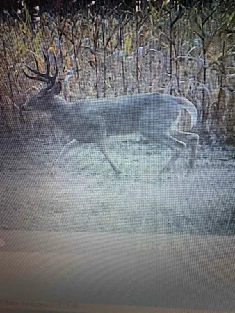 $469,900 | 458 County Rd O, Hancock, WI 54943