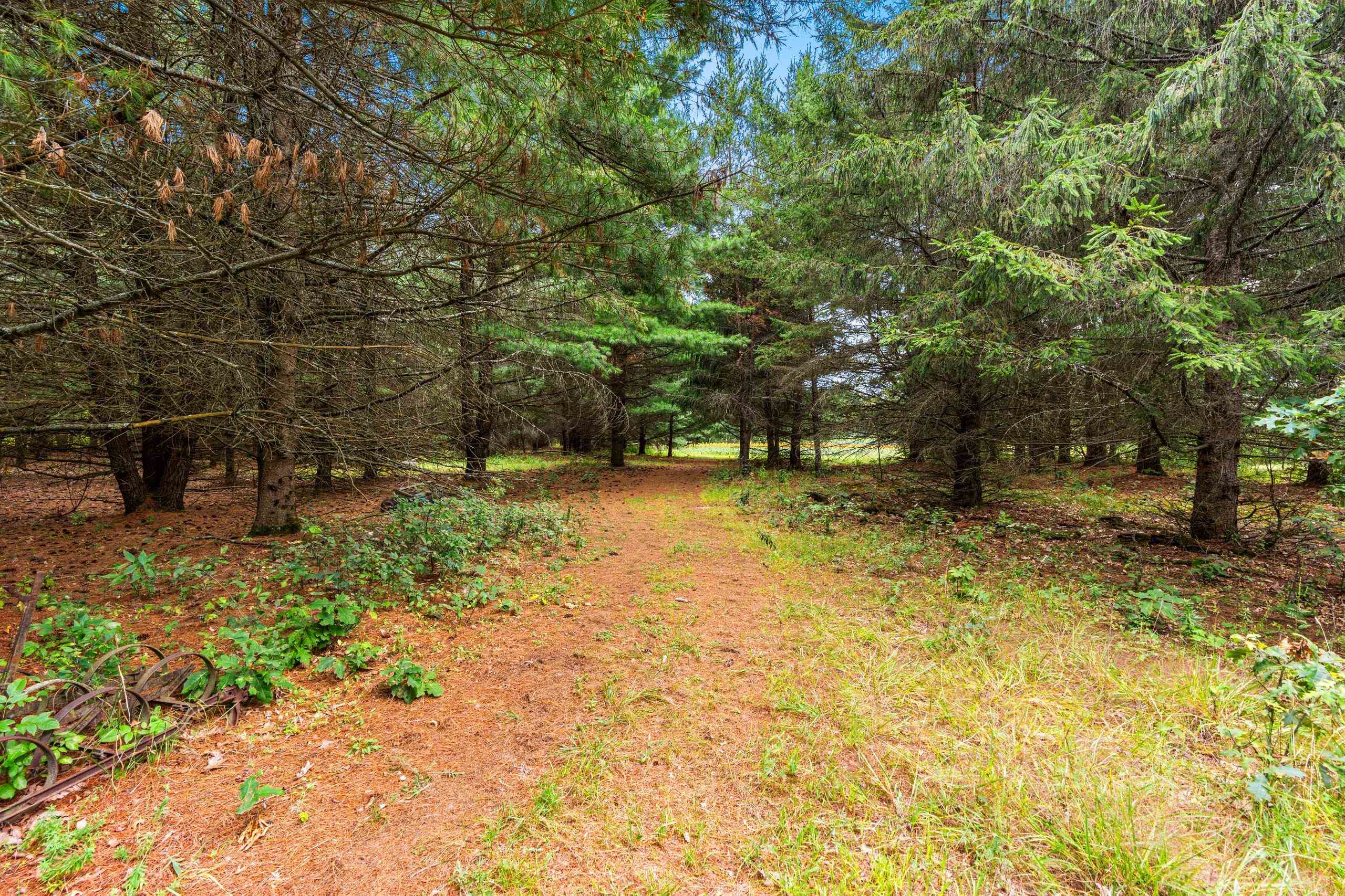 458 County Rd O Hancock, WI 54943 - Photo 51 of 88