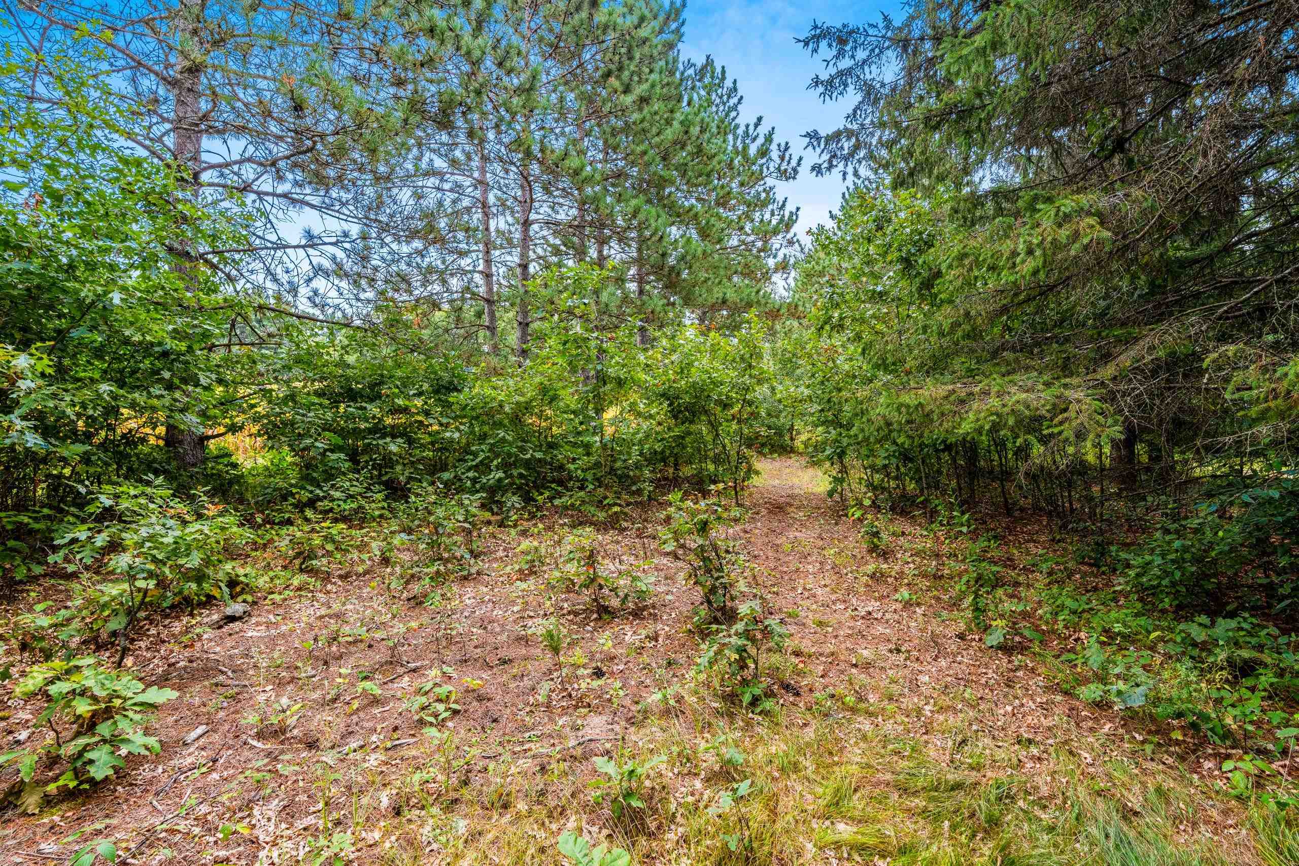 458 County Rd O Hancock, WI 54943 - Photo 53 of 88