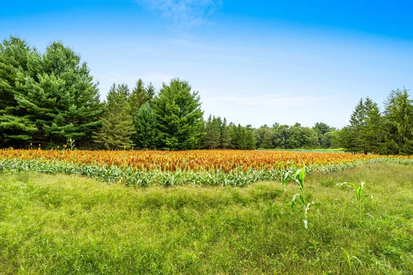 $469,900 | 458 County Rd O, Hancock, WI 54943