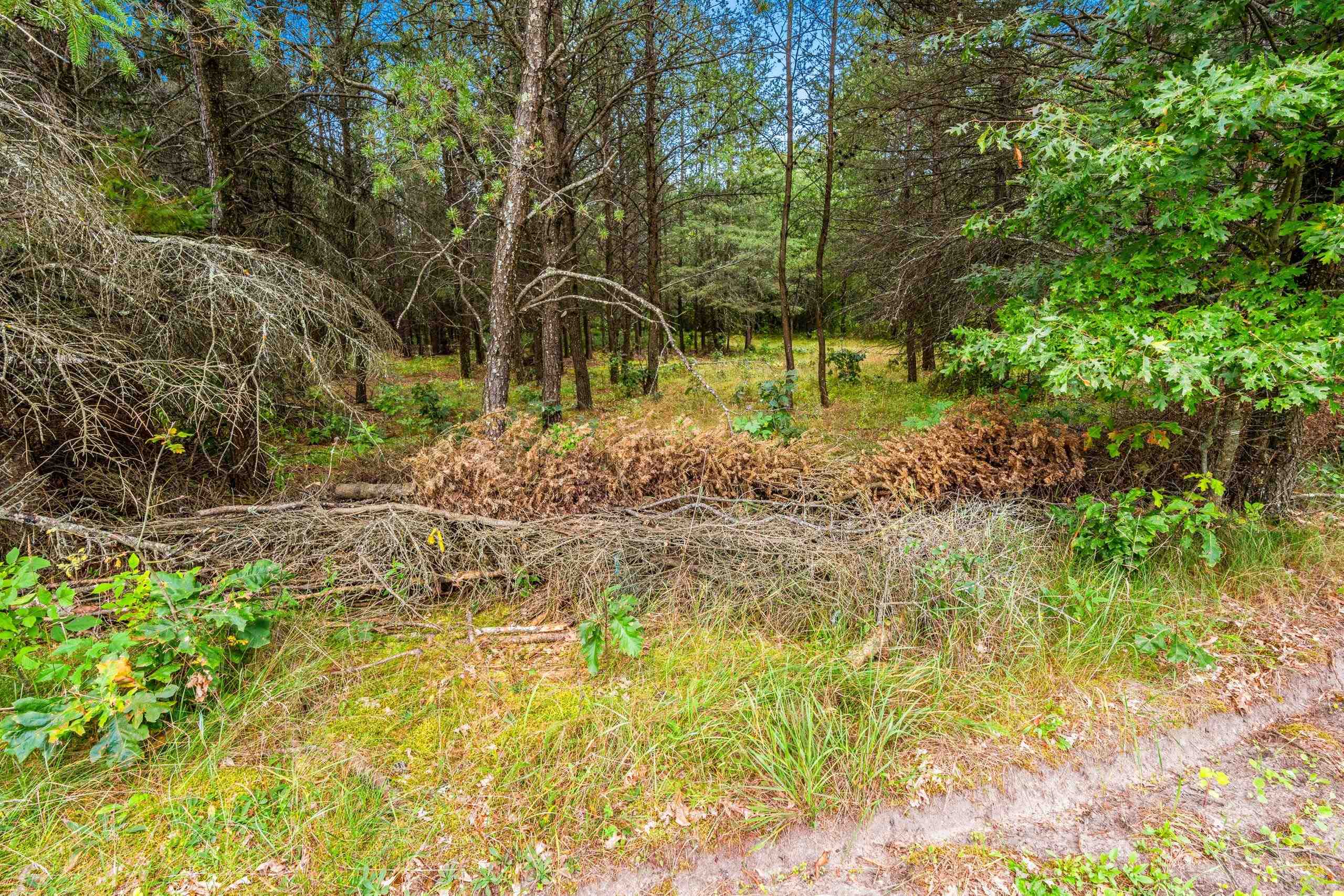 458 County Rd O Hancock, WI 54943 - Photo 59 of 88