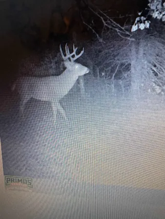 $469,900 | 458 County Rd O, Hancock, WI 54943