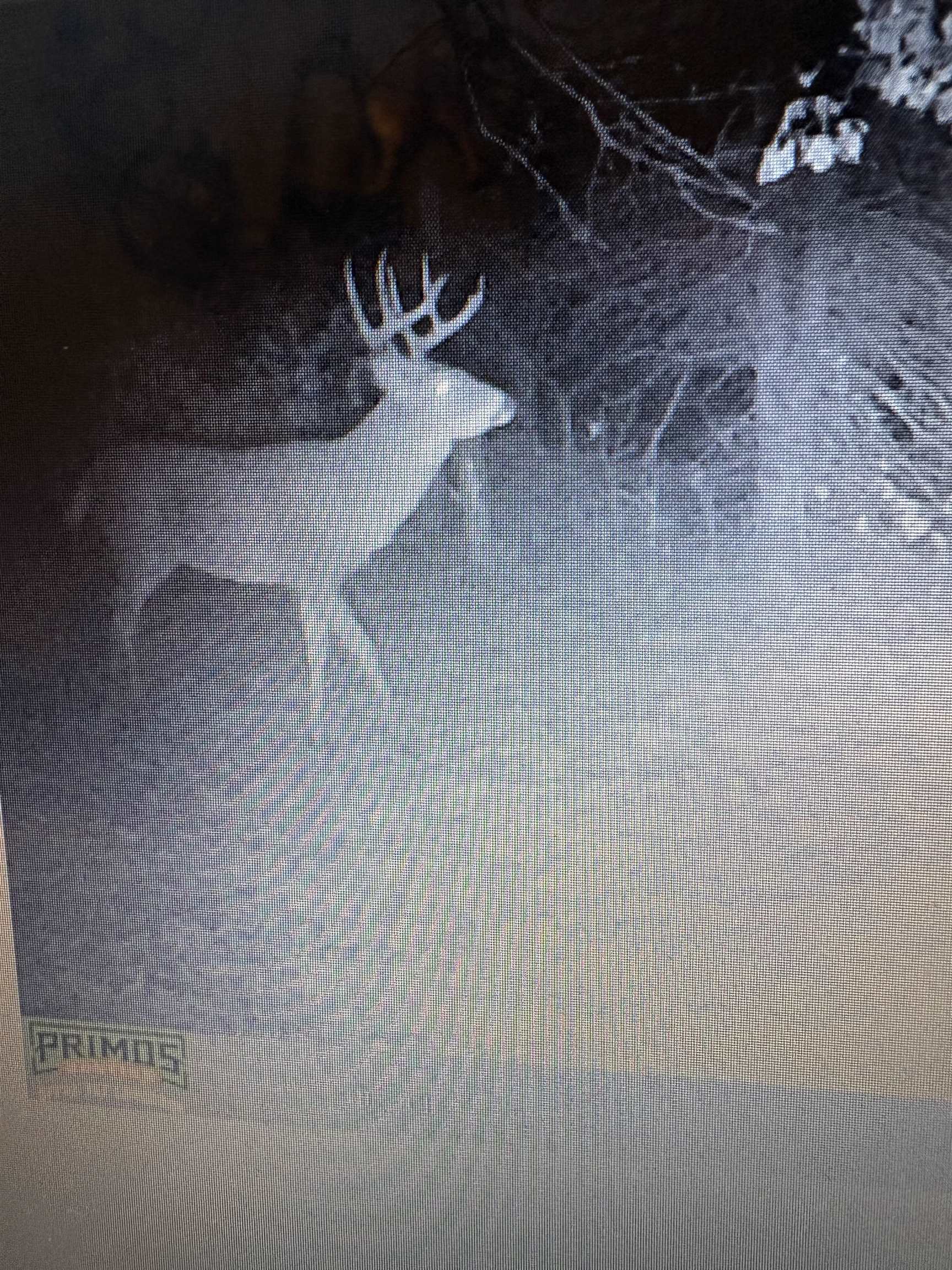 458 County Rd O Hancock, WI 54943 - Photo 6 of 88