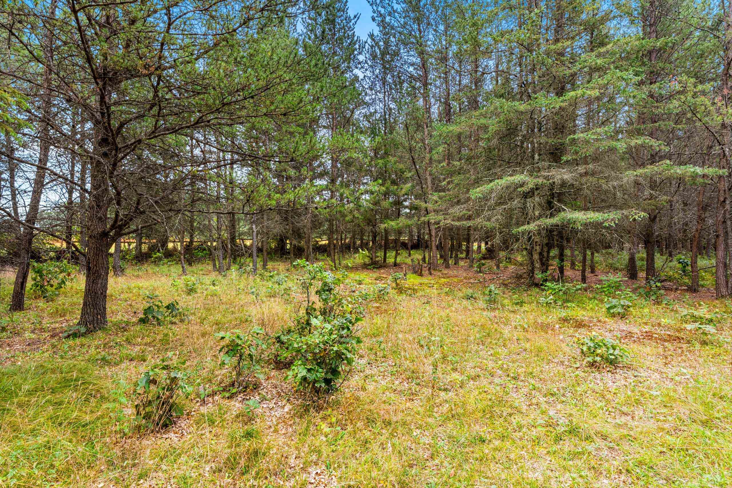 458 County Rd O Hancock, WI 54943 - Photo 61 of 88