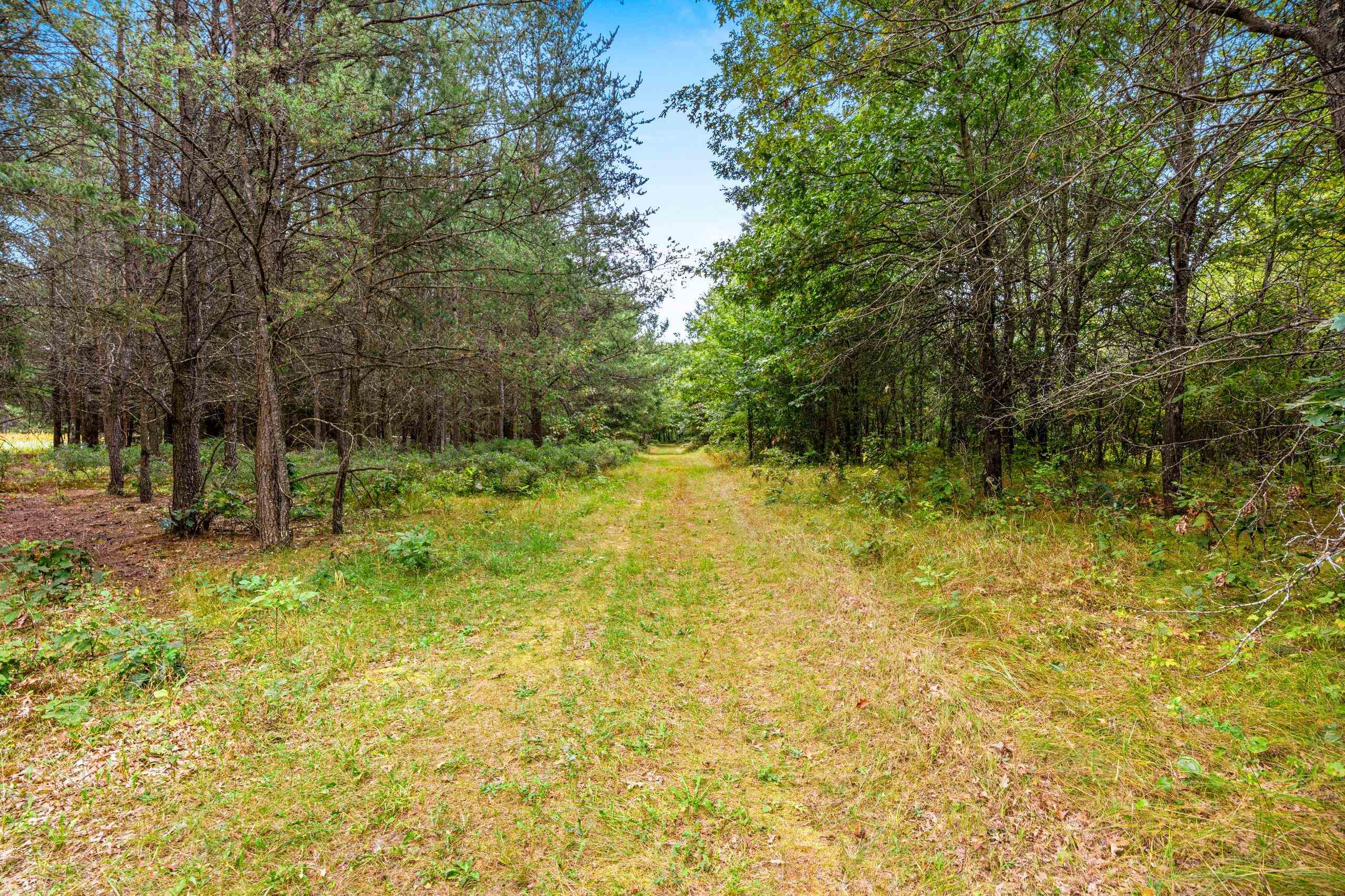 458 County Rd O Hancock, WI 54943 - Photo 62 of 88