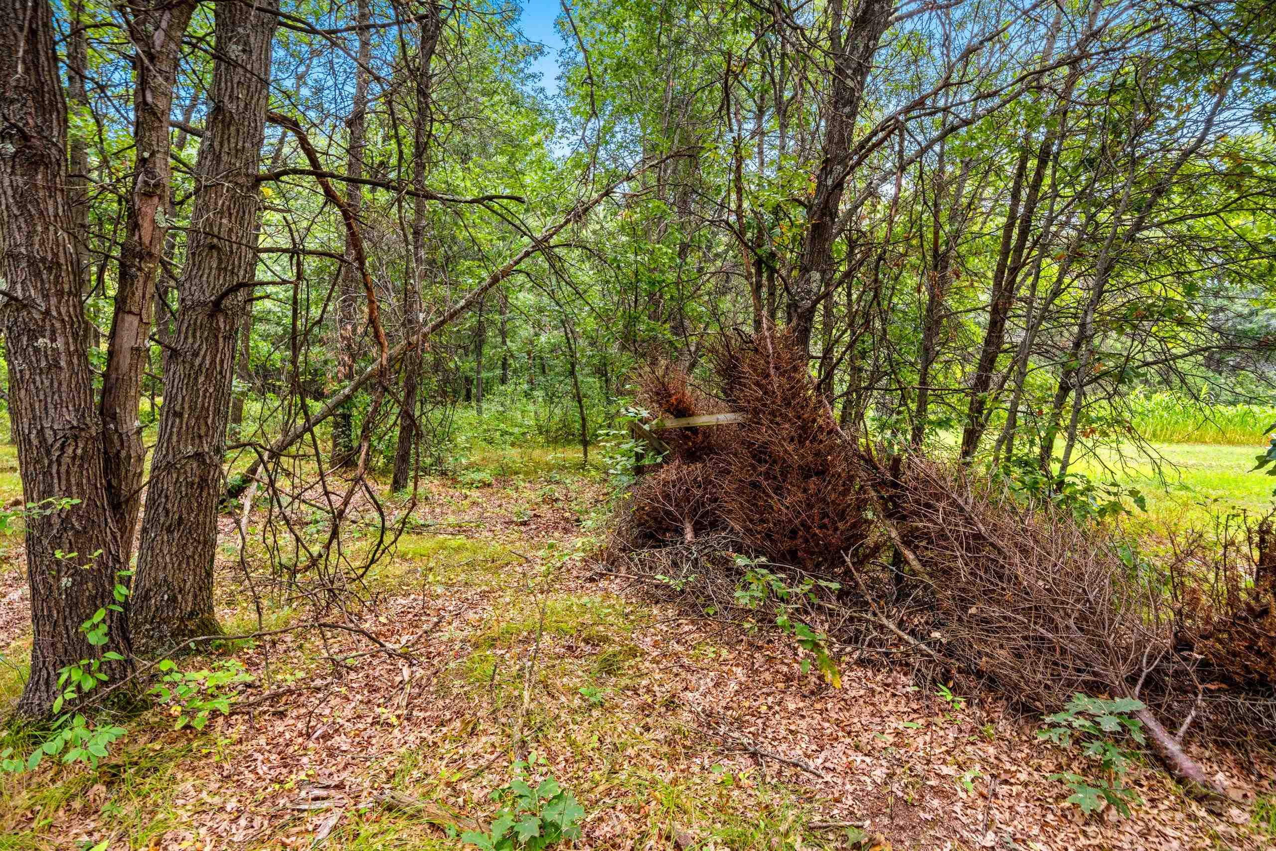 458 County Rd O Hancock, WI 54943 - Photo 63 of 88