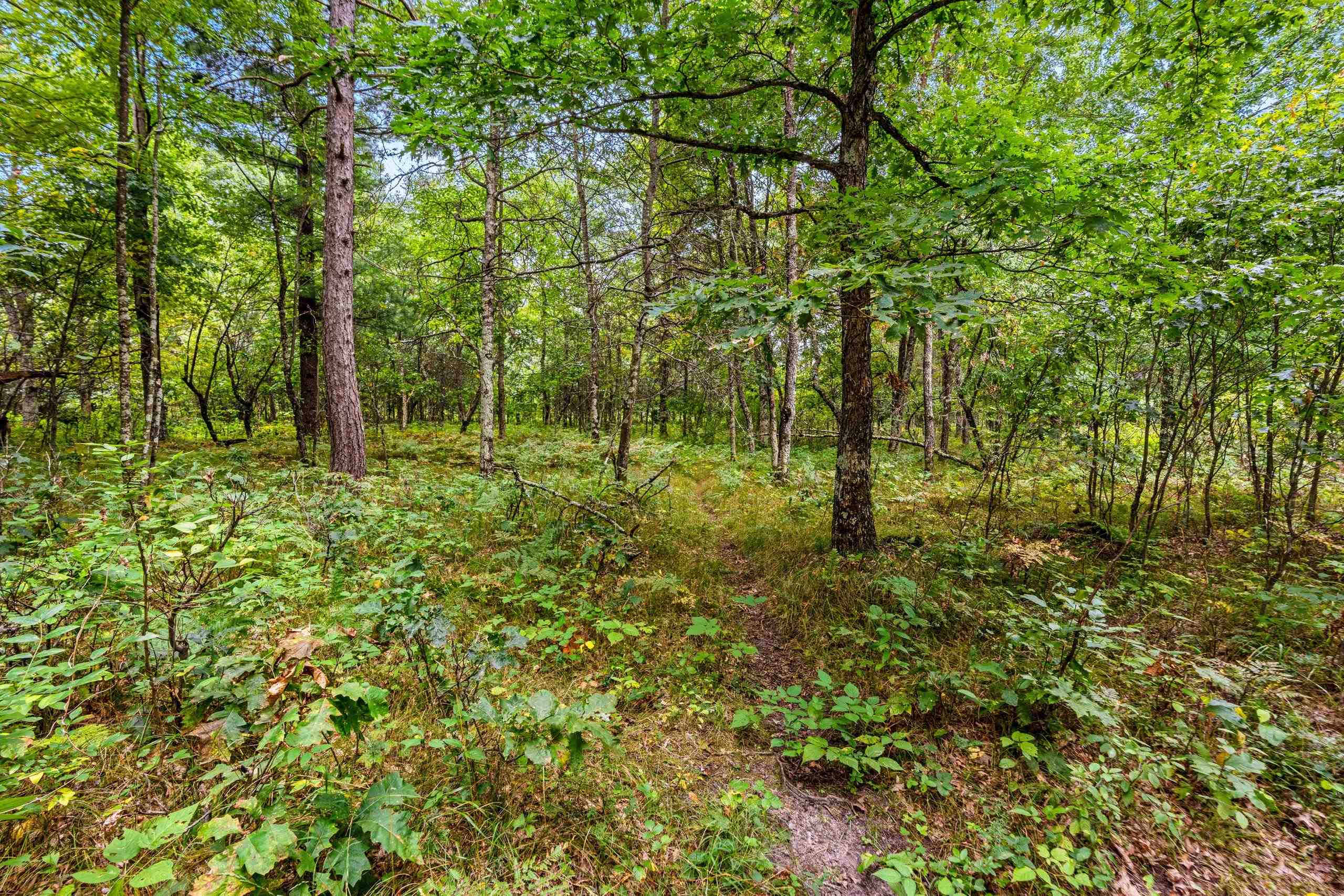 458 County Rd O Hancock, WI 54943 - Photo 66 of 88