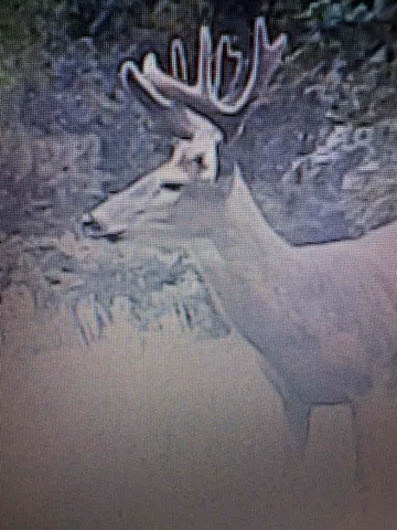 $469,900 | 458 County Rd O, Hancock, WI 54943