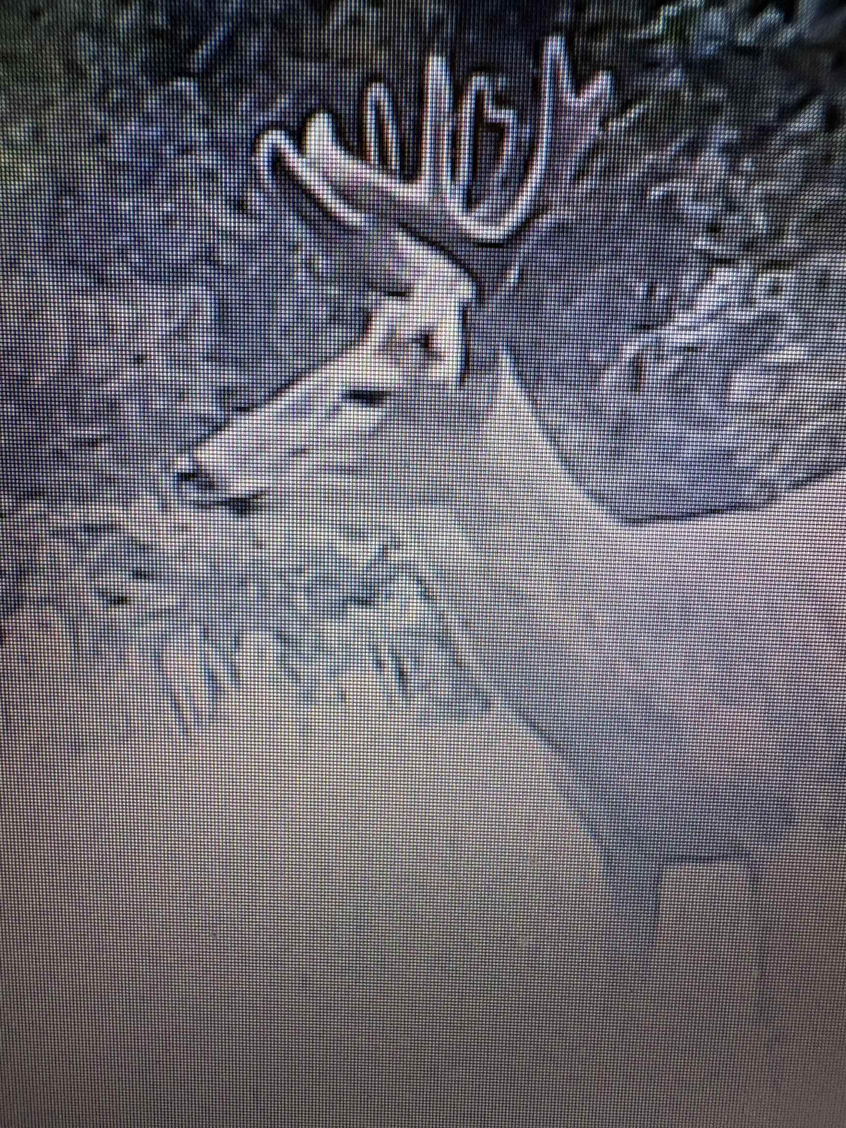 458 County Rd O Hancock, WI 54943 - Photo 7 of 88