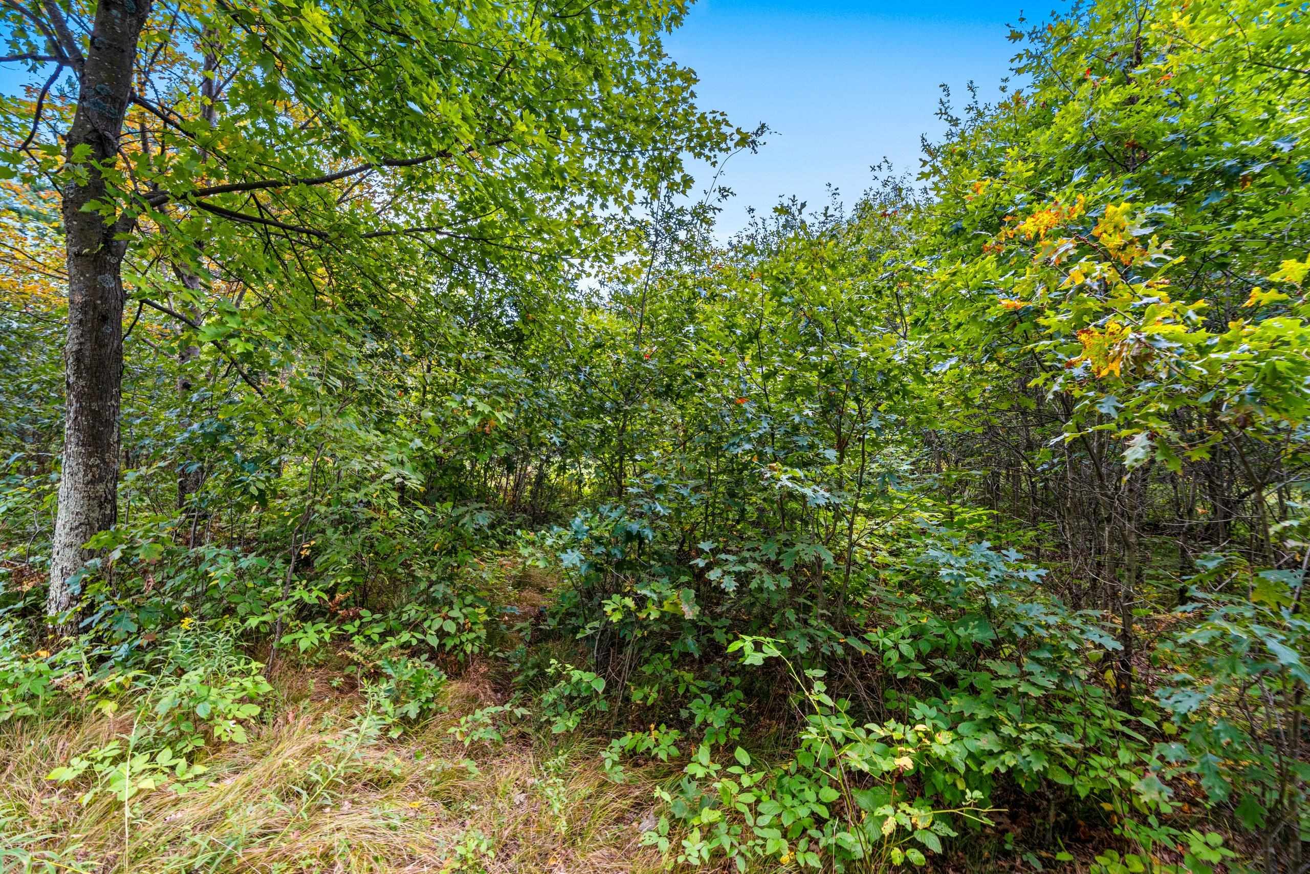 458 County Rd O Hancock, WI 54943 - Photo 73 of 88