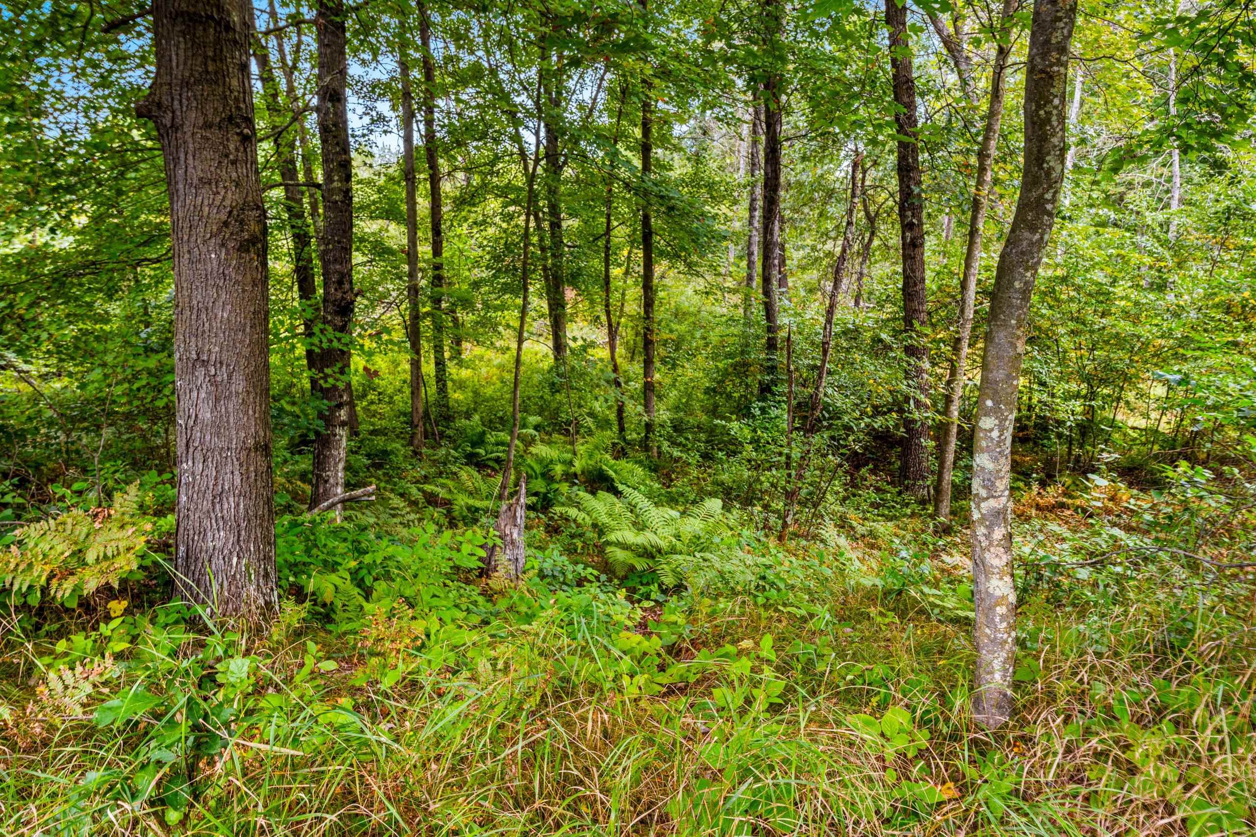 458 County Rd O Hancock, WI 54943 - Photo 75 of 88