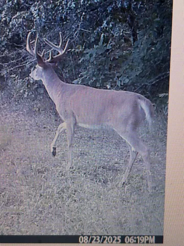 $469,900 | 458 County Rd O, Hancock, WI 54943