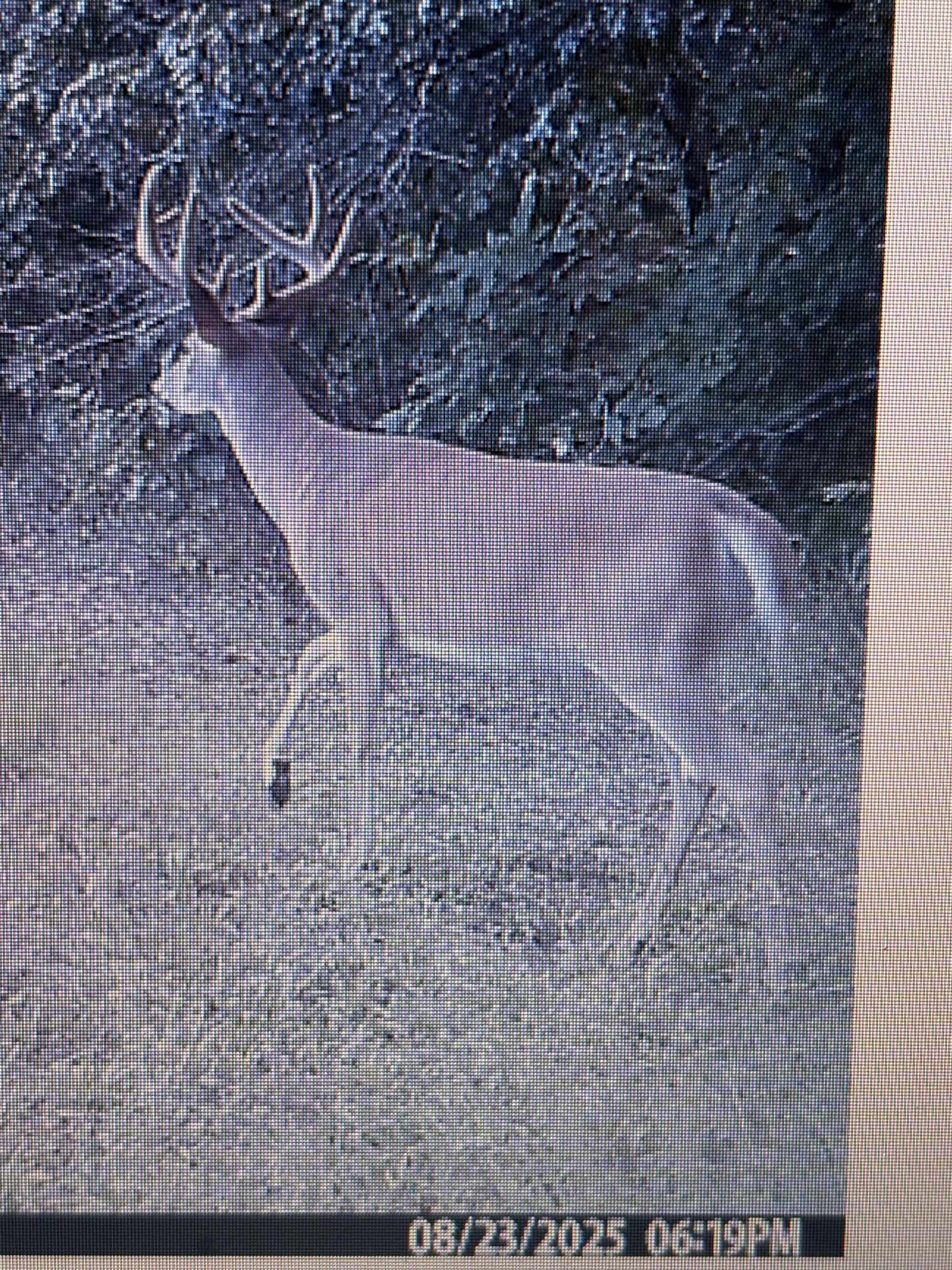 458 County Rd O Hancock, WI 54943 - Photo 8 of 88