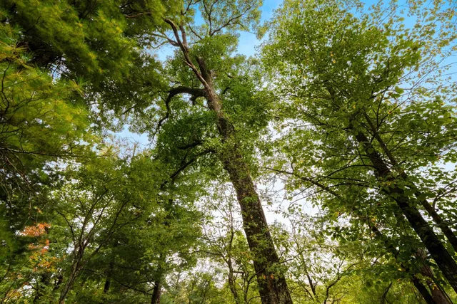 $469,900 | 458 County Rd O, Hancock, WI 54943