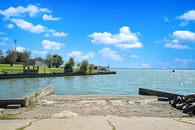 a view of a park with large trees