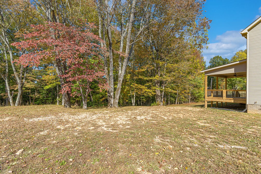 3829 Tarsus Church Road Palmyra, TN 37142 - Photo 48 of 60 Gallery Image 48