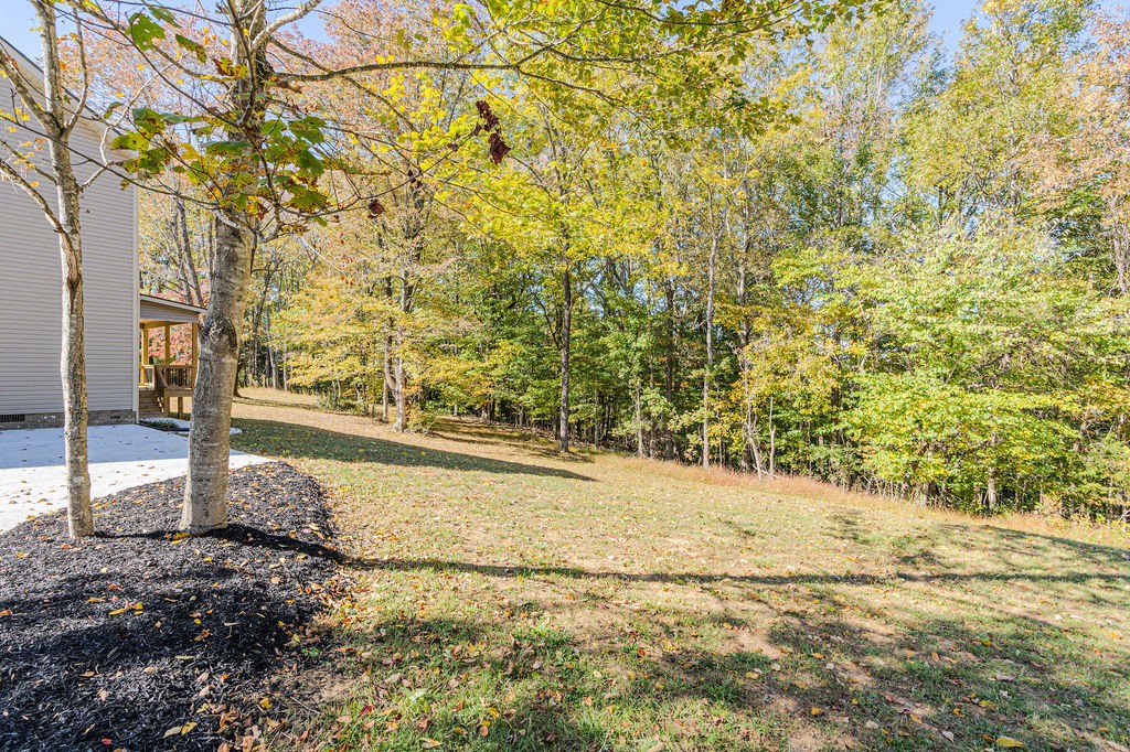 3829 Tarsus Church Road Palmyra, TN 37142 - Photo 53 of 60 Gallery Image 53