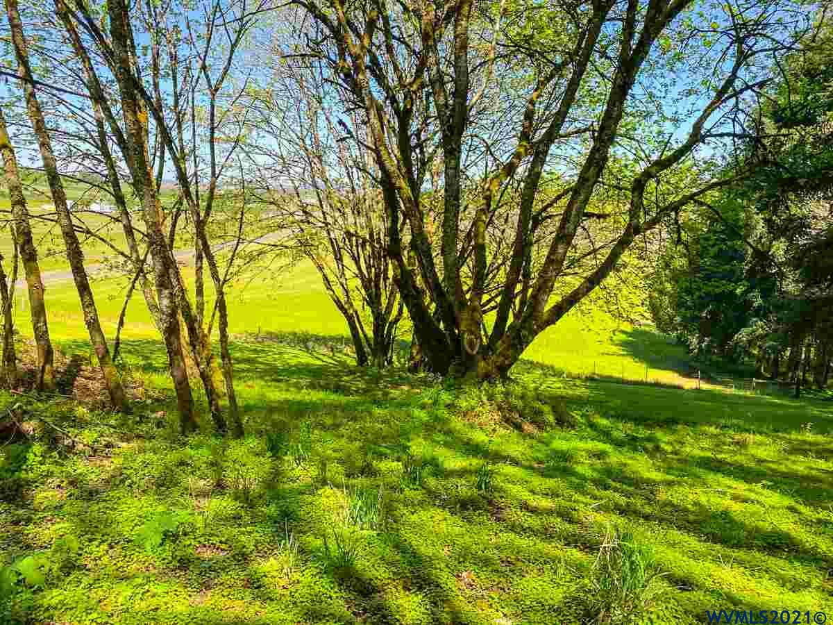 31149 Blueberry Hill Road Lebanon, OR 97355 - Photo 13 of 17 Gallery Image 13