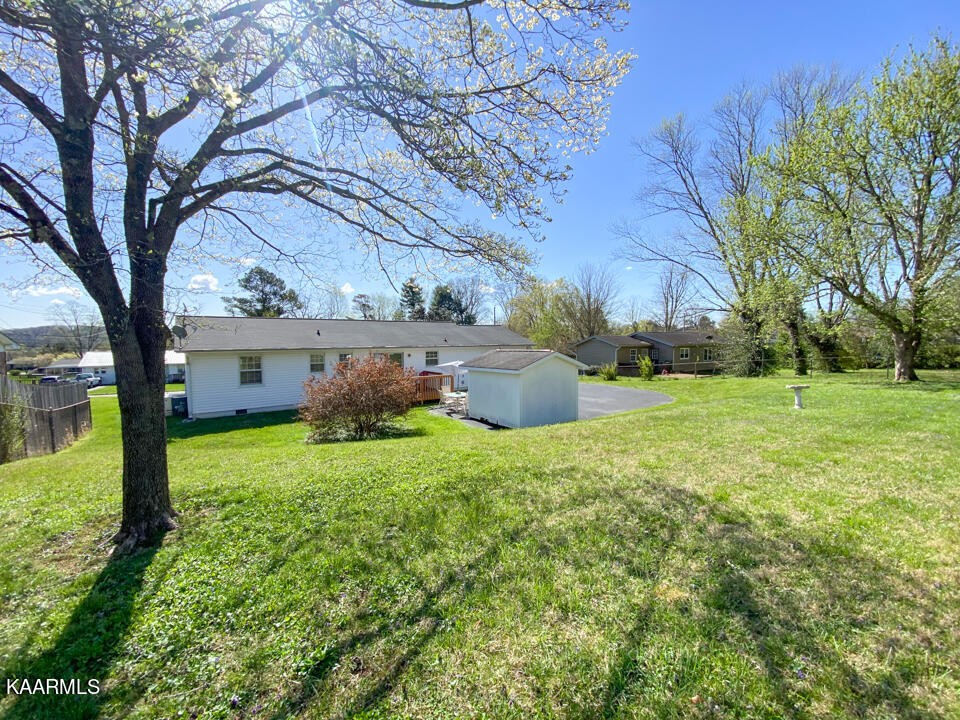 5409 Bluefield Road Knoxville, TN 37921 - Photo 32 of 33 a backyard of a house with plants and large tree