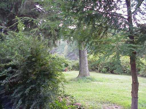 2111 Dellenbaugh Road Tarentum, PA 15084 - Photo 8 of 8