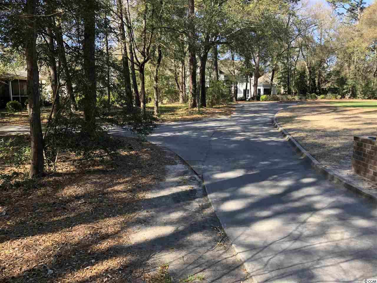 Lot 628 Chester Road North Myrtle Beach, SC 29582 - Photo 3 of 22 Gallery Image 3