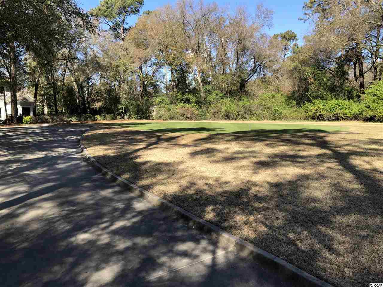 Lot 628 Chester Road North Myrtle Beach, SC 29582 - Photo 4 of 22 Gallery Image 4