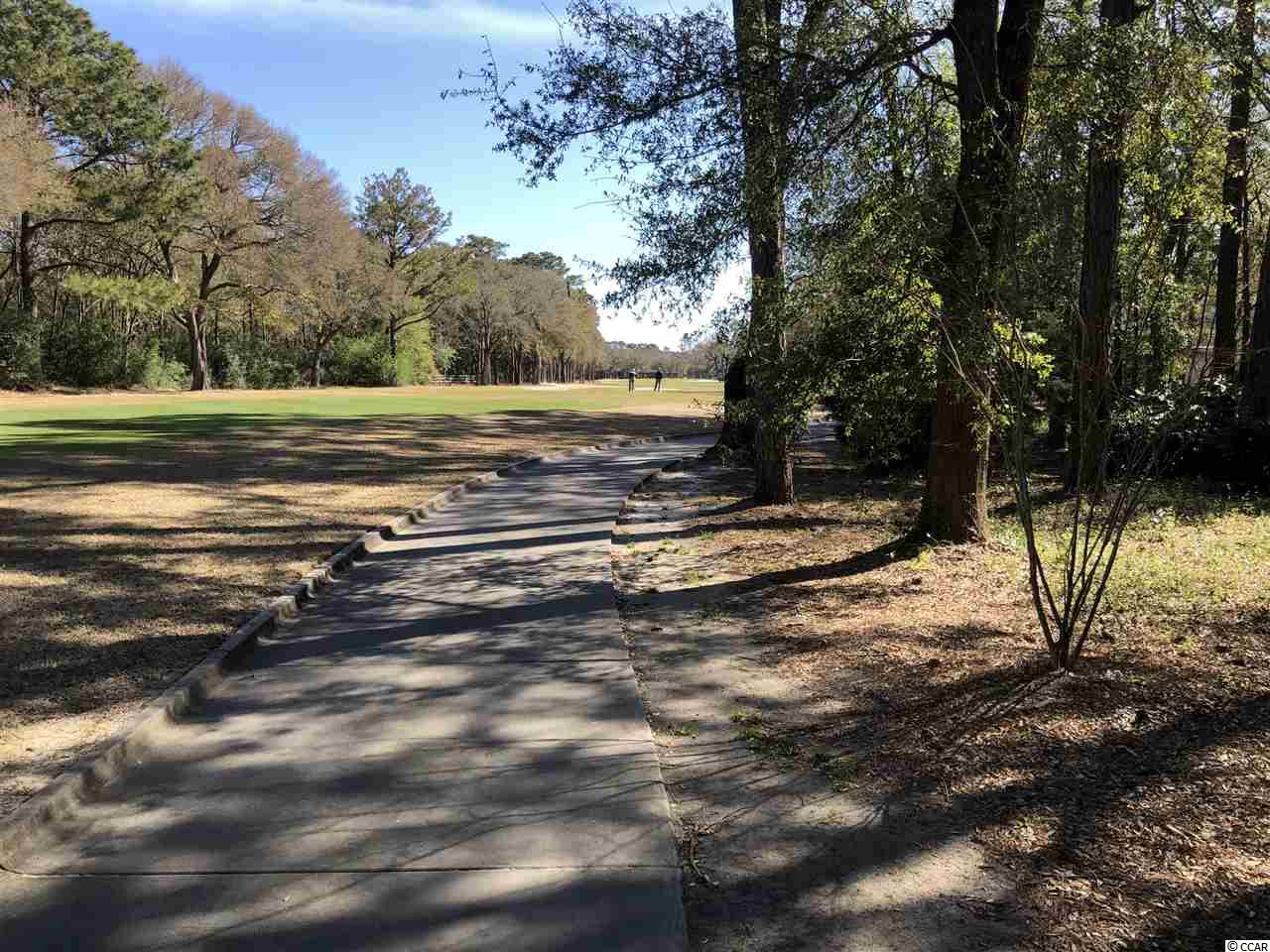 Lot 628 Chester Road North Myrtle Beach, SC 29582 - Photo 5 of 22 Gallery Image 5