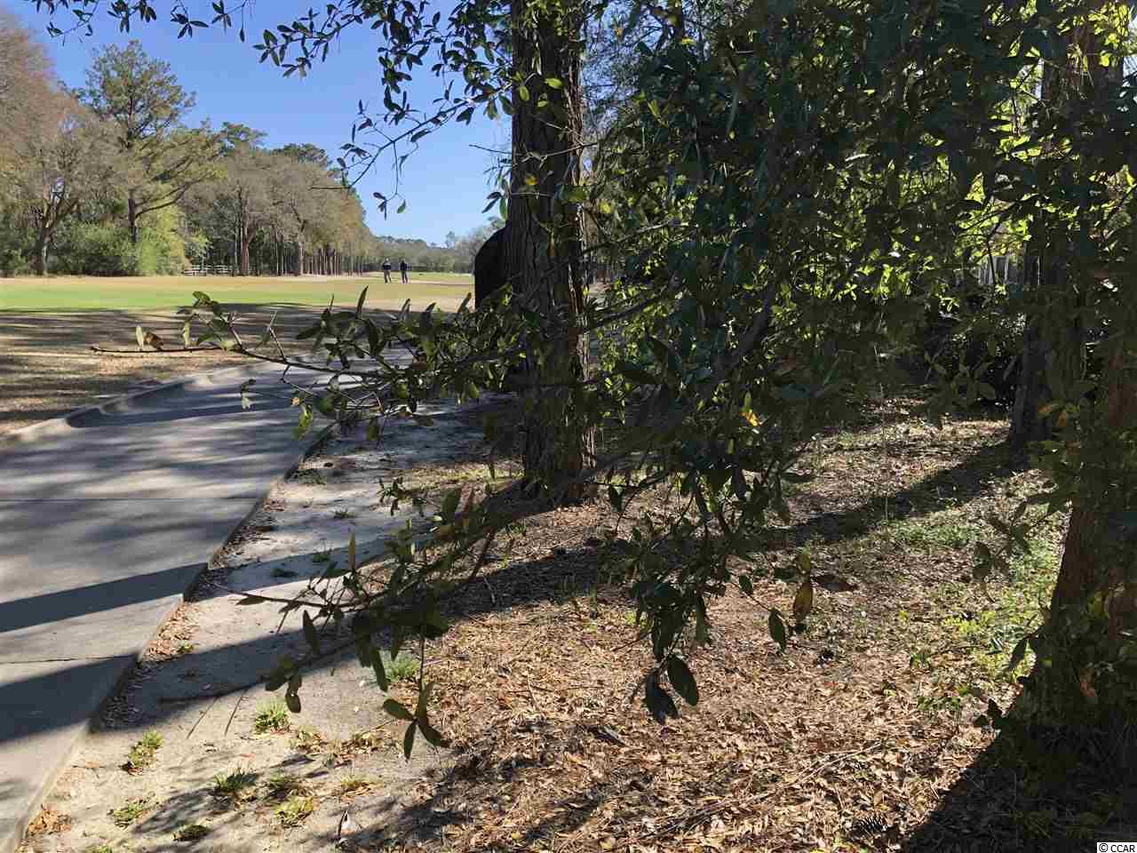 Lot 628 Chester Road North Myrtle Beach, SC 29582 - Photo 6 of 22 Gallery Image 6