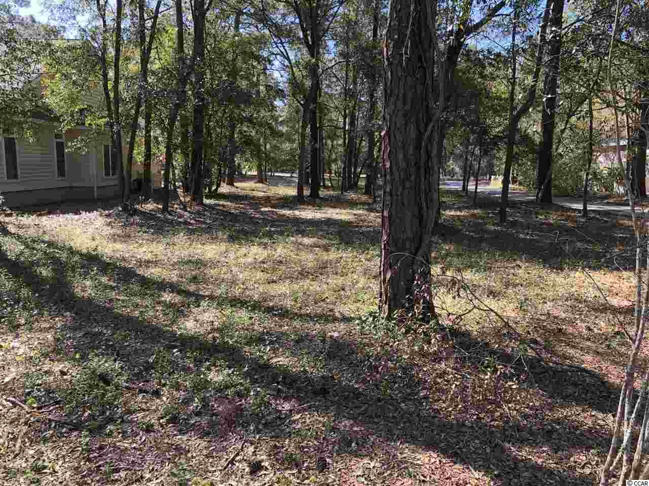 Lot 628 Chester Road North Myrtle Beach, SC 29582 - Photo 8 of 22 Gallery Image 8