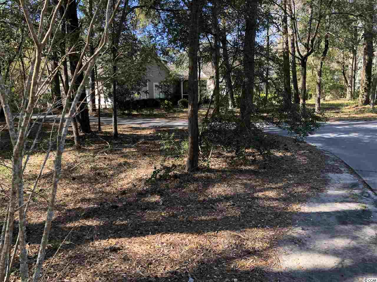 Lot 628 Chester Road North Myrtle Beach, SC 29582 - Photo 9 of 22 Gallery Image 9