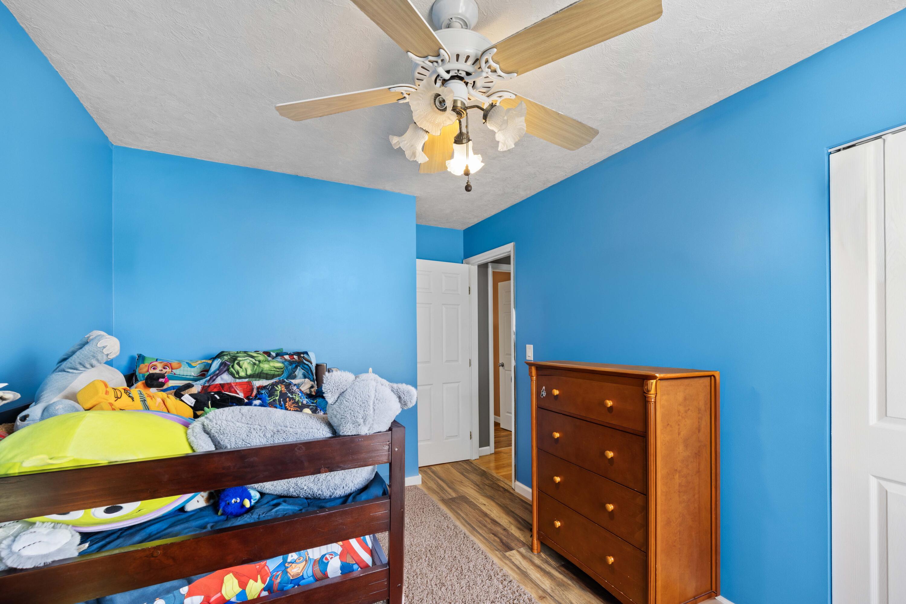 403 Green Street Springport, MI 49284 - Photo 11 of 21 _P7A0772_E