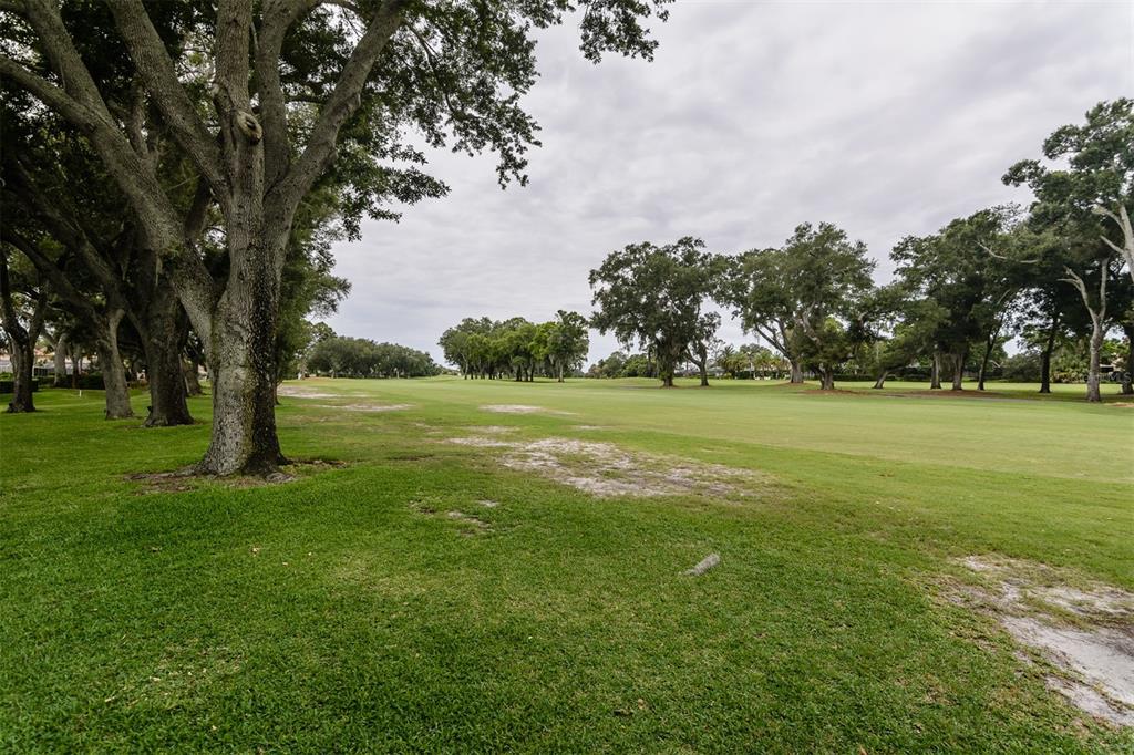 3230 Sandy Ridge Drive Clearwater, FL 33761 - Photo 63 of 66