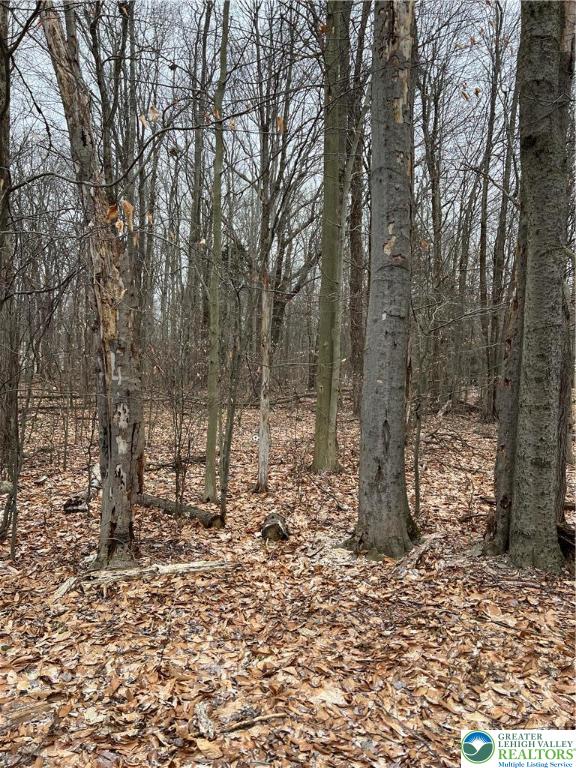 255 Pontiac Path, Unit 12 Pocono Lake, PA 18347 - Photo 2 of 7 a backyard of a house with lots of green space