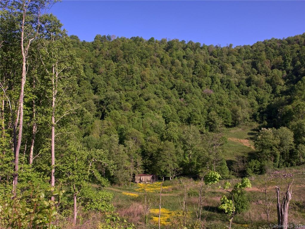 1433 West Cove Road Canton, NC 28716 - Photo 2 of 19
