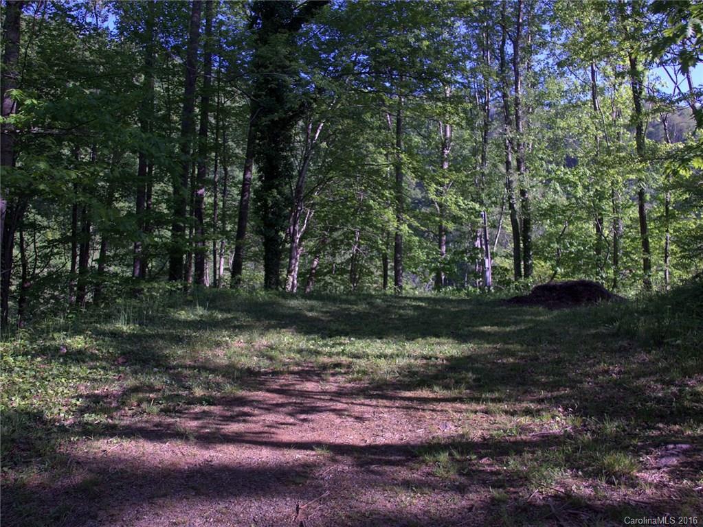 1433 West Cove Road Canton, NC 28716 - Photo 11 of 19