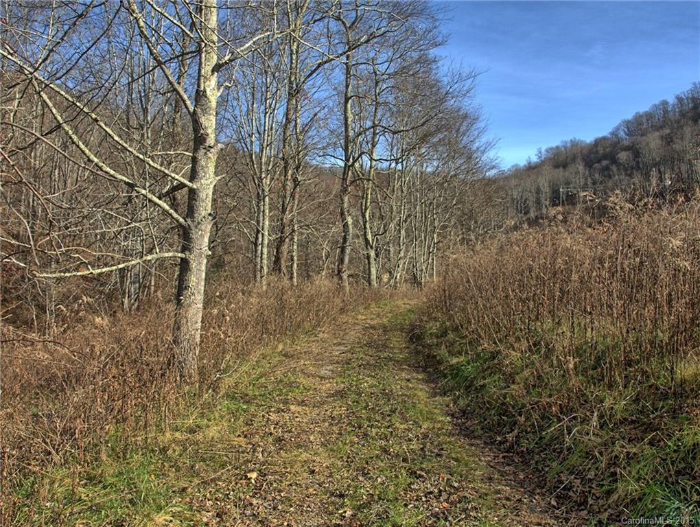 1433 West Cove Road Canton, NC 28716 - Photo 14 of 19