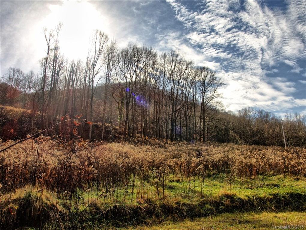 1433 West Cove Road Canton, NC 28716 - Photo 15 of 19