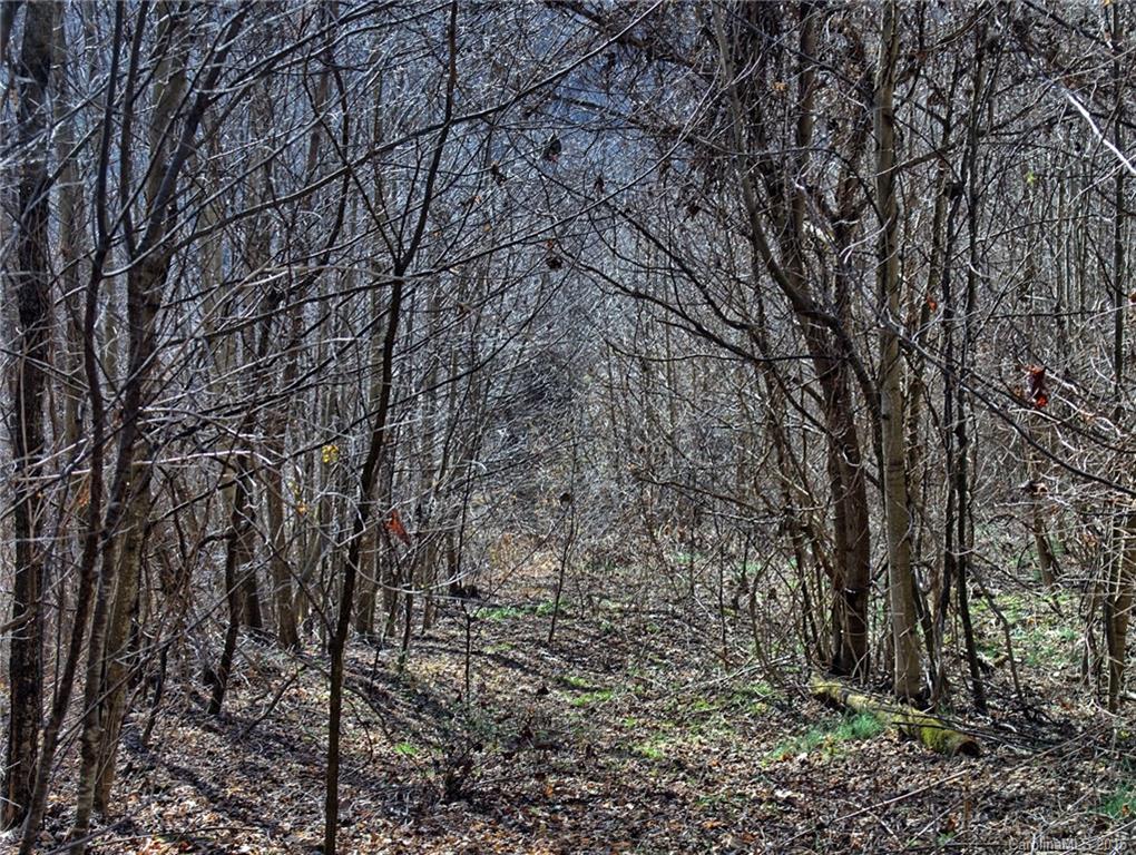 1433 West Cove Road Canton, NC 28716 - Photo 17 of 19