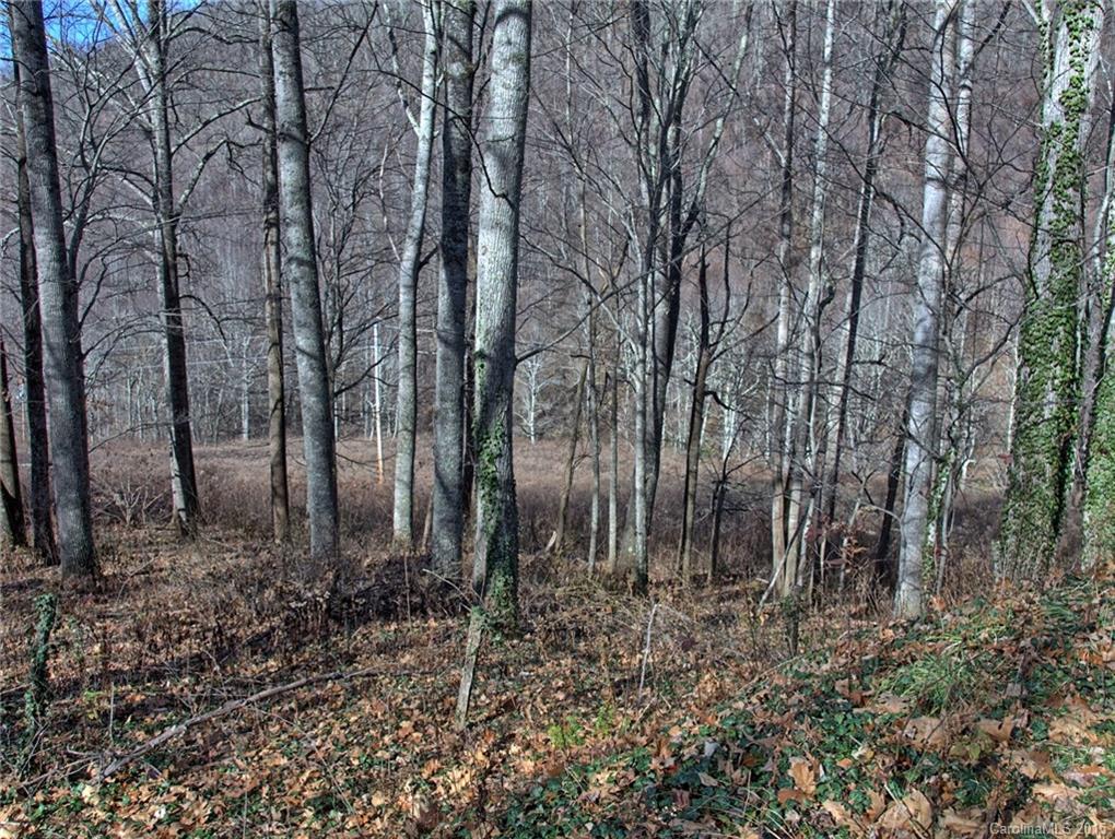 1433 West Cove Road Canton, NC 28716 - Photo 18 of 19