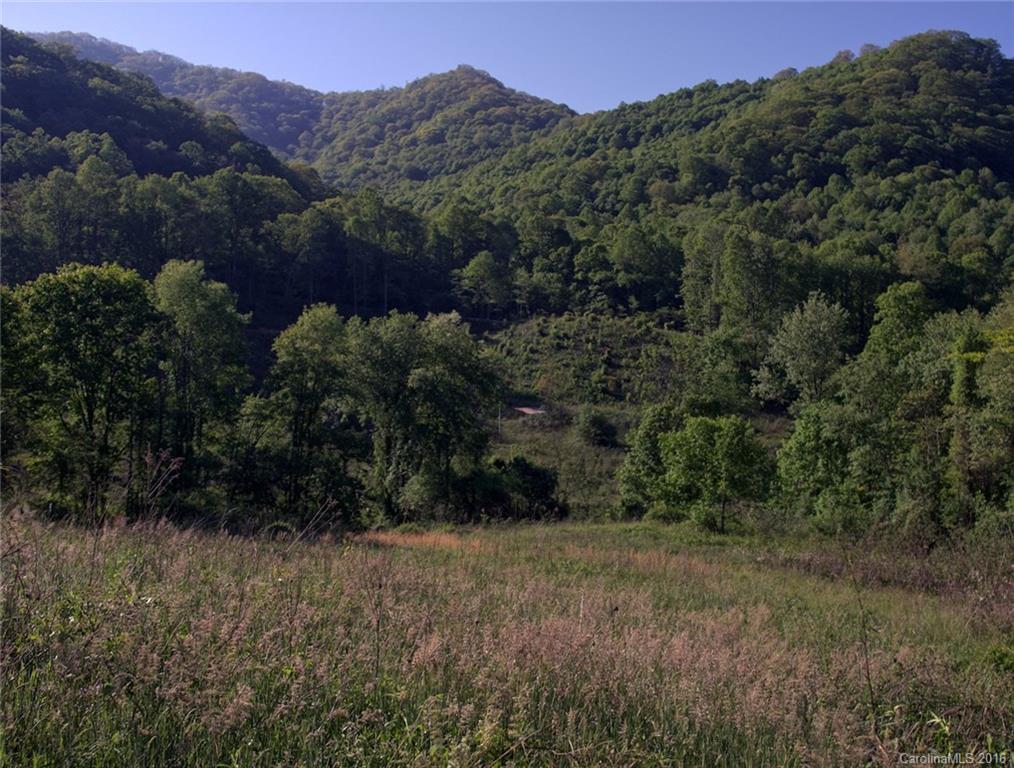 1433 West Cove Road Canton, NC 28716 - Photo 3 of 19