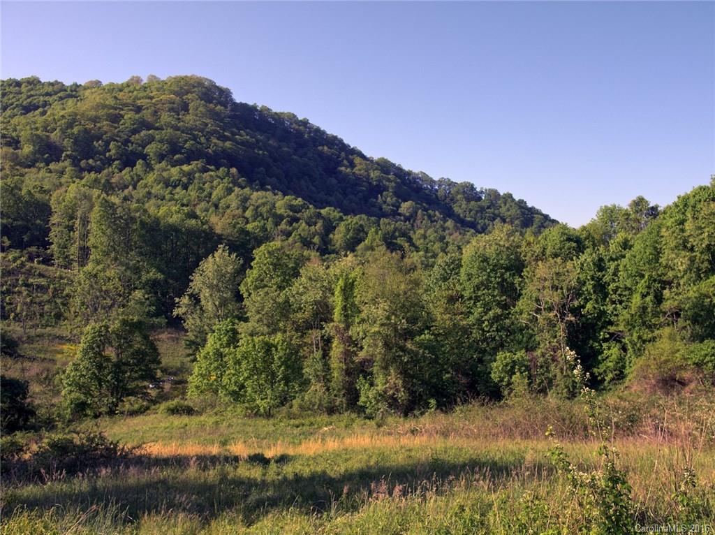 1433 West Cove Road Canton, NC 28716 - Photo 4 of 19