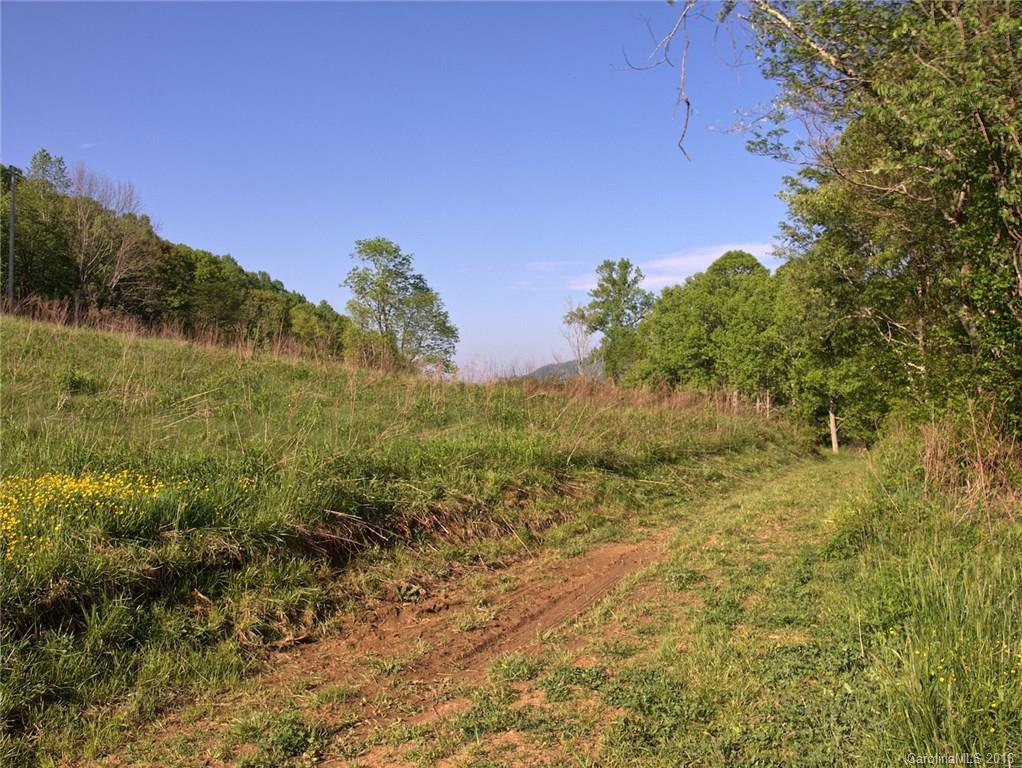 1433 West Cove Road Canton, NC 28716 - Photo 5 of 19